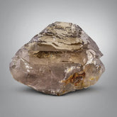 Huge Lustrous Smoky Gwindel Quartz